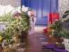 Så ofte skal du vande blomster